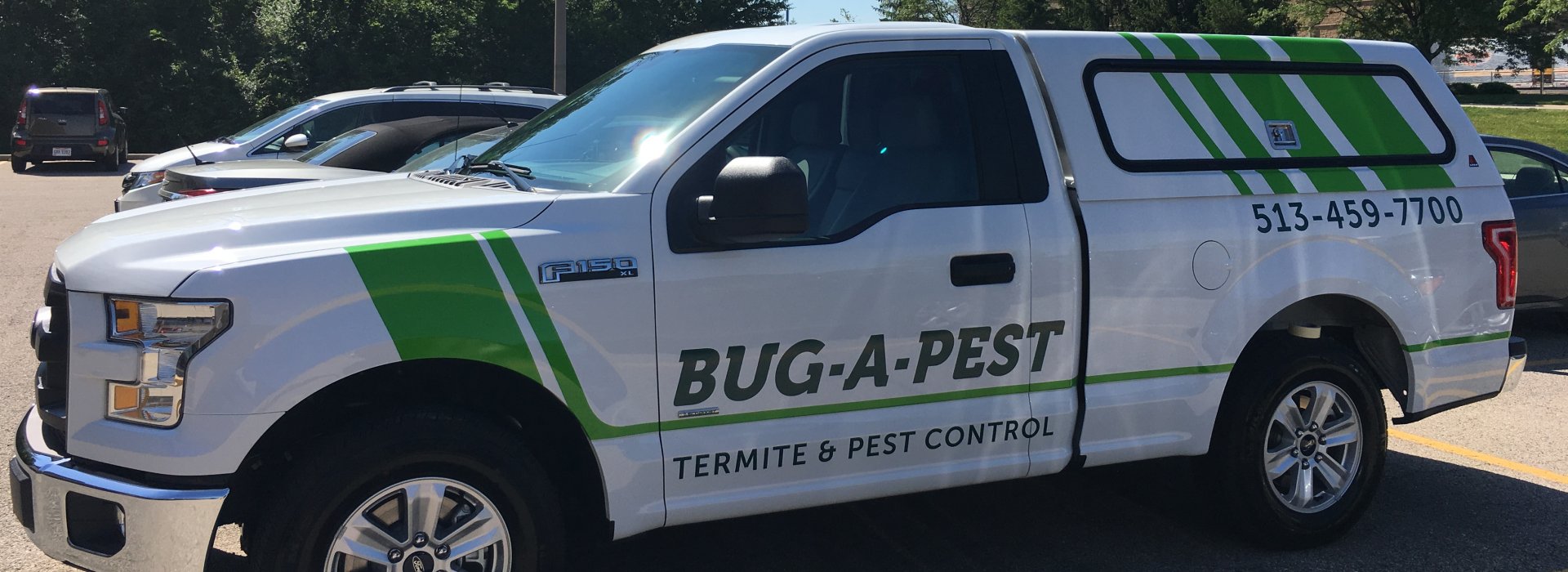 bugapest vehicle graphics